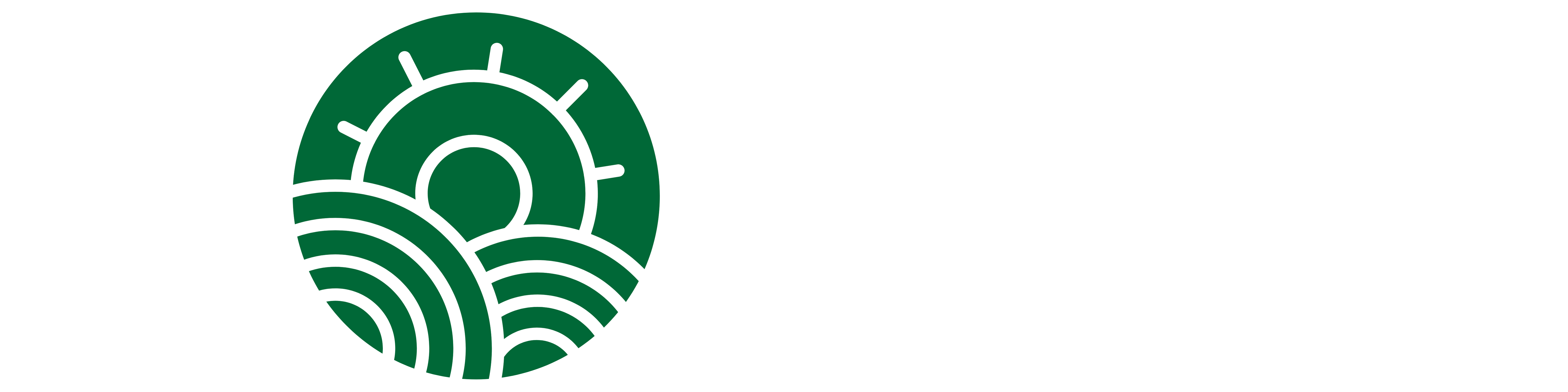Logo 6